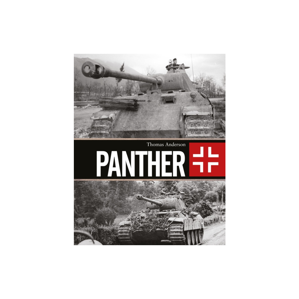 Produktbild för Panther (inbunden, eng)