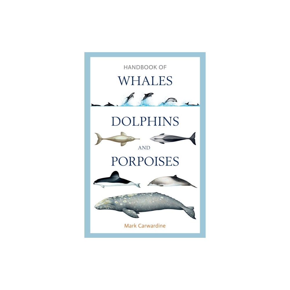 Produktbild för Handbook of Whales, Dolphins and Porpoises (inbunden, eng)