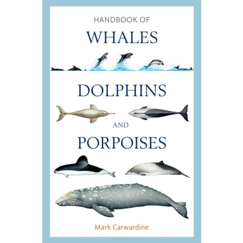 Bloomsbury Publishing PLC Handbook of Whales, Dolphins and Porpoises (inbunden, eng)
