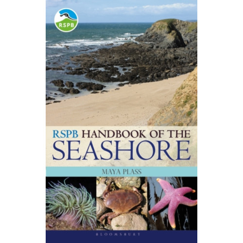 Bloomsbury Publishing PLC RSPB Handbook of the Seashore (häftad, eng)