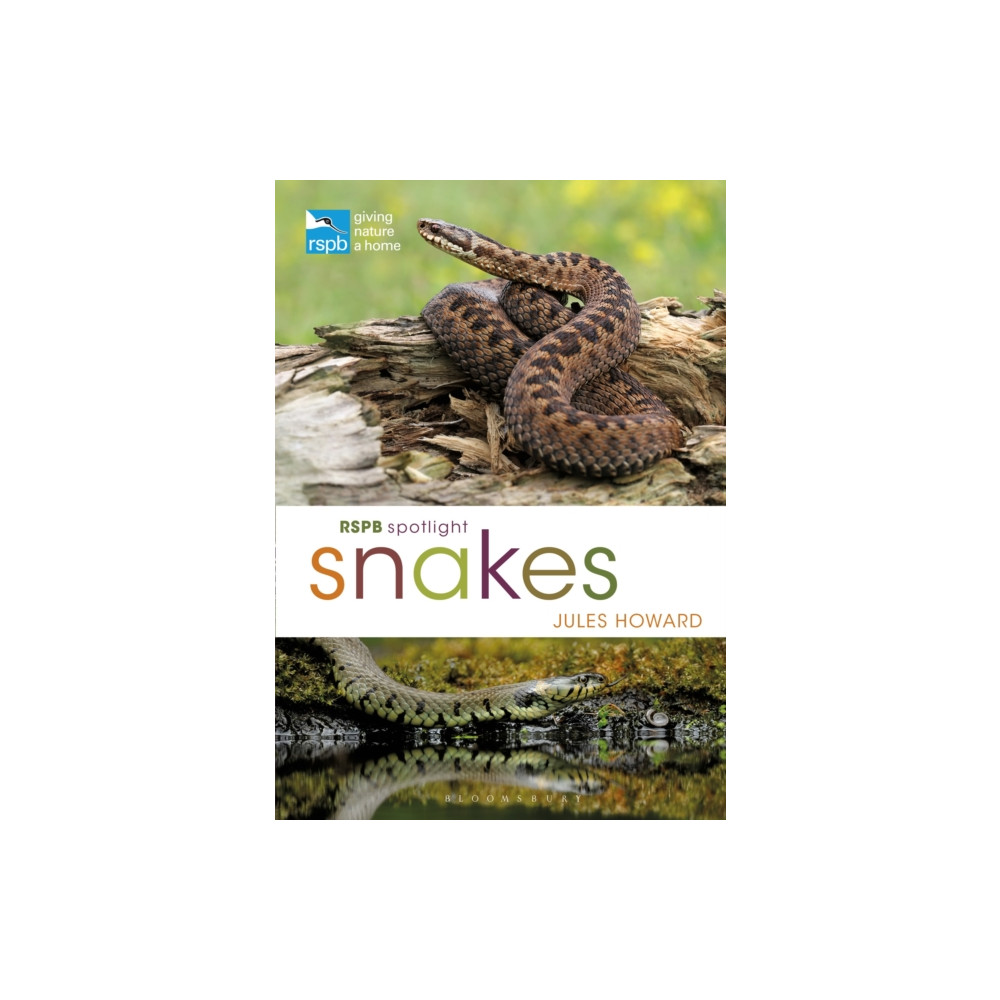 Produktbild för RSPB Spotlight Snakes (häftad, eng)