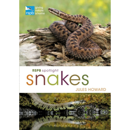 Bloomsbury Publishing PLC RSPB Spotlight Snakes (häftad, eng)