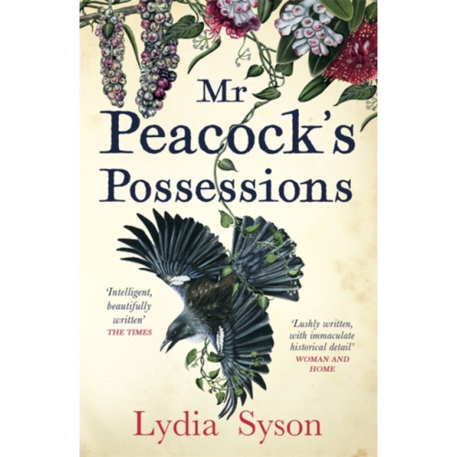 Hot Key Books Mr Peacock's Possessions (häftad, eng)