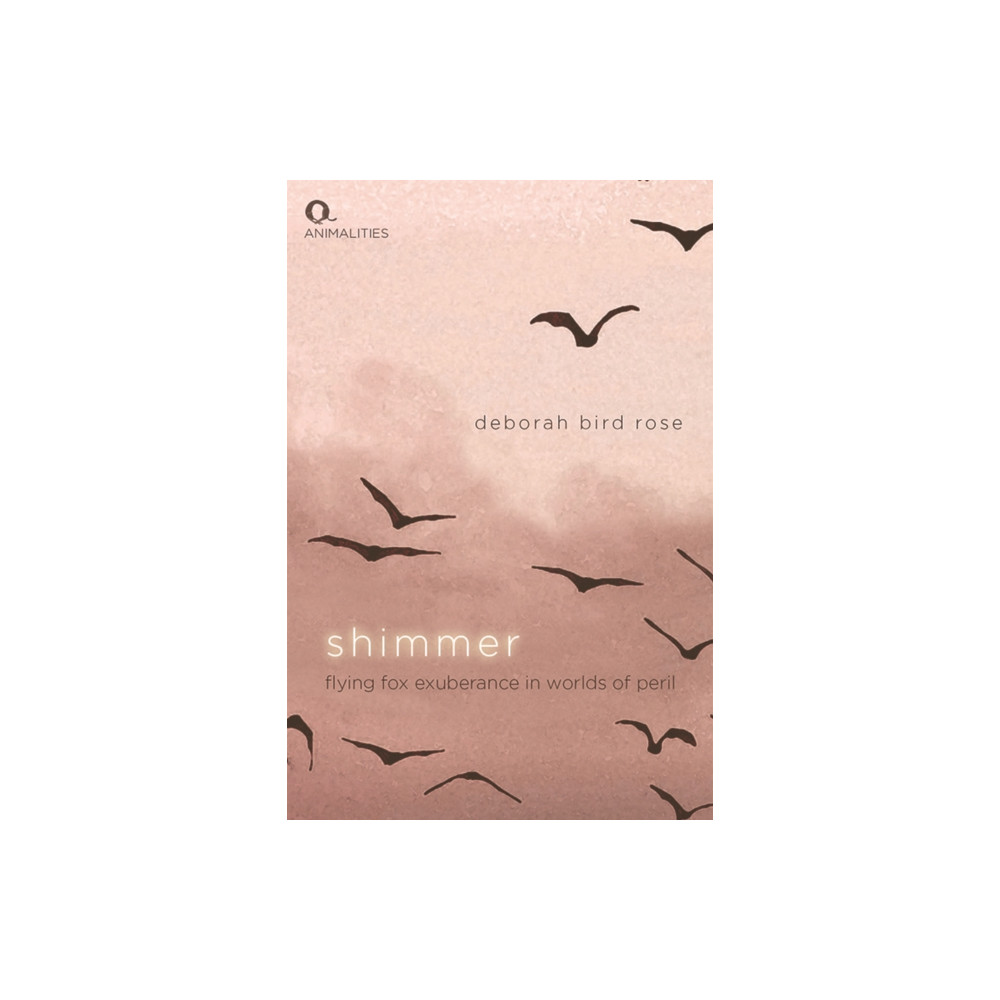Produktbild för Shimmer (häftad, eng)