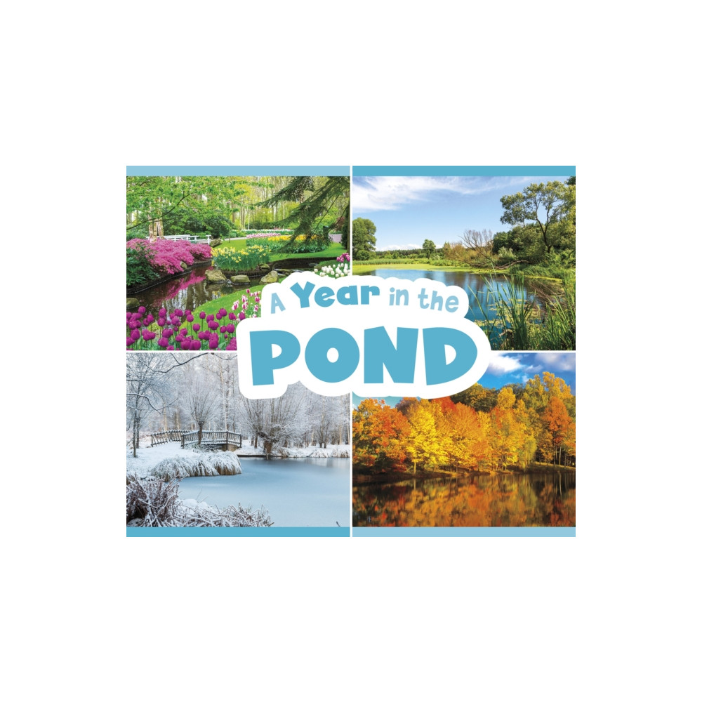 Produktbild för A Year in the Pond (häftad, eng)
