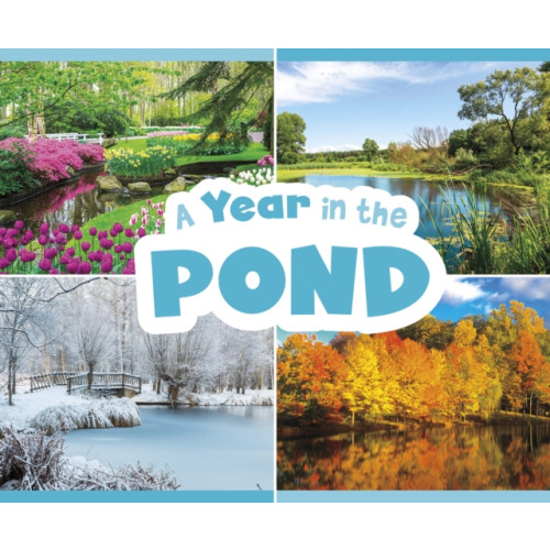 Capstone Global Library Ltd A Year in the Pond (häftad, eng)