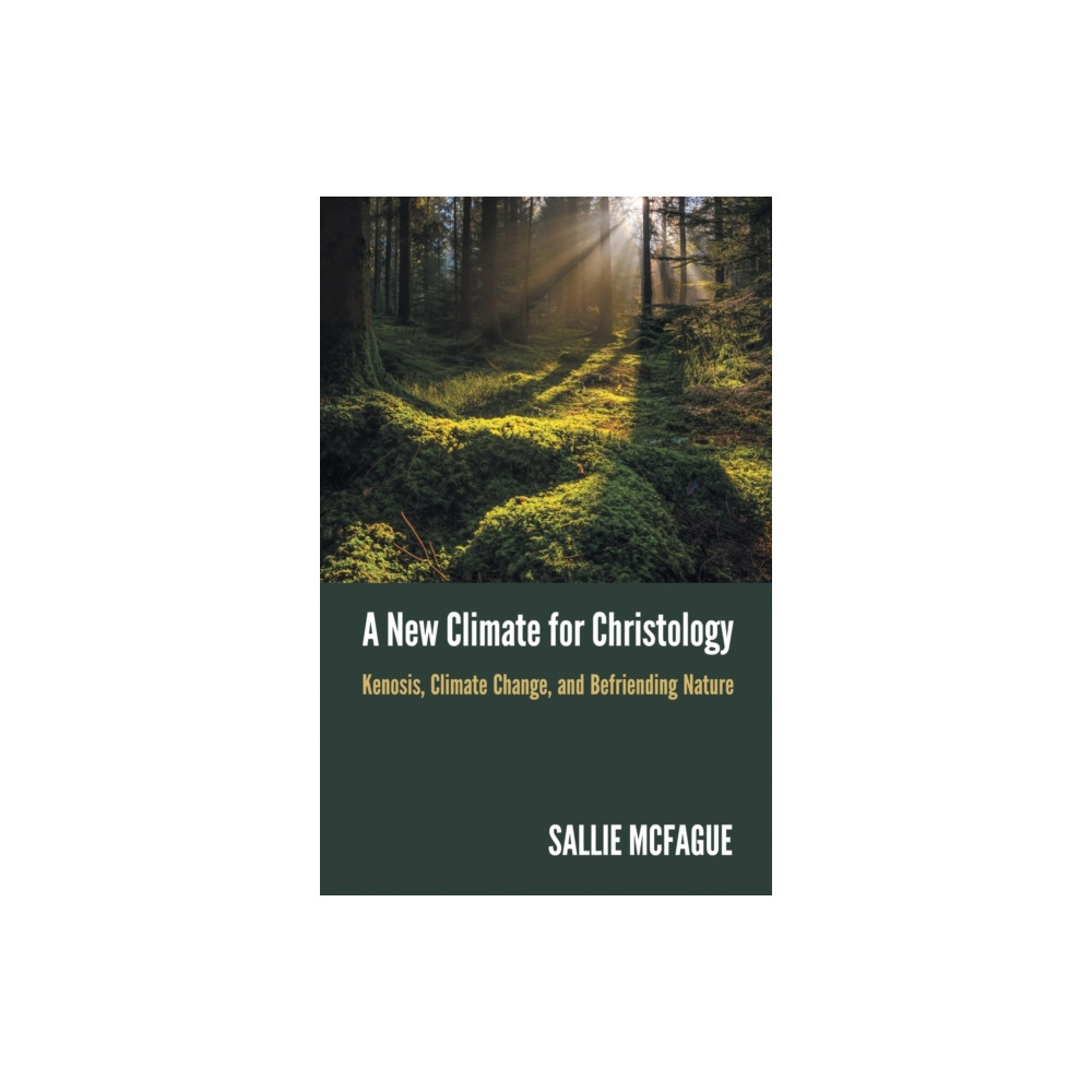 Produktbild för A New Climate for Christology (häftad, eng)