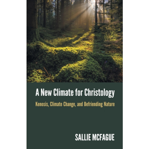 Augsburg Fortress Publishers A New Climate for Christology (häftad, eng)