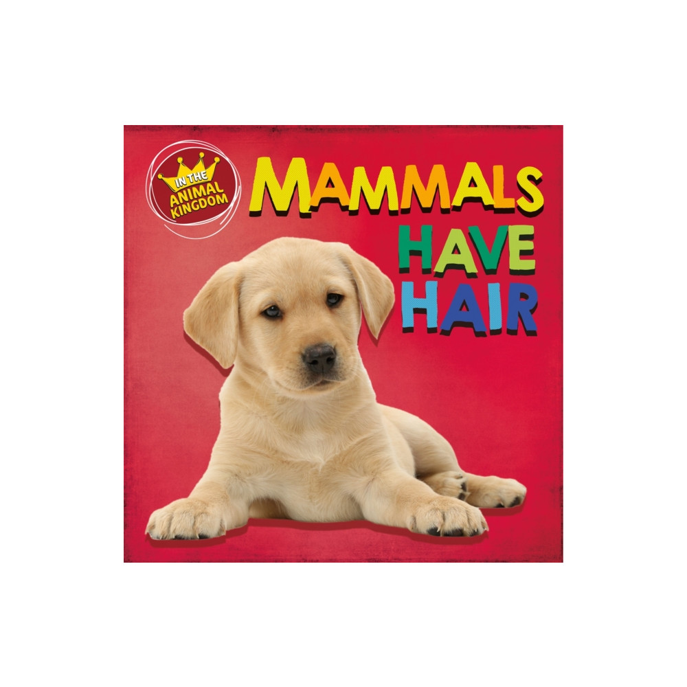 Produktbild för In the Animal Kingdom: Mammals Have Hair (häftad, eng)