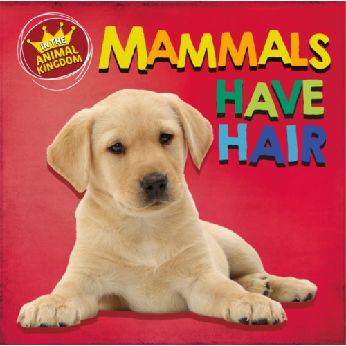Hachette Children's Group In the Animal Kingdom: Mammals Have Hair (häftad, eng)