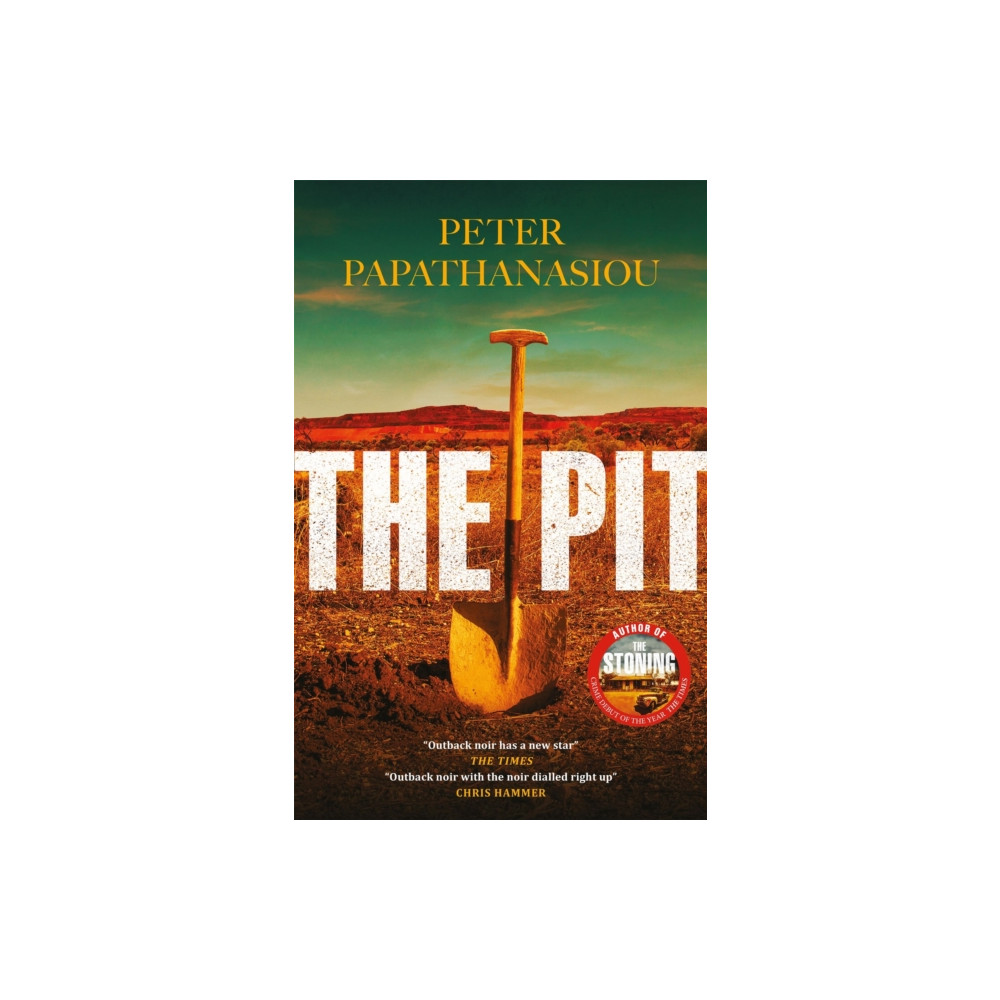 Produktbild för The Pit (häftad, eng)