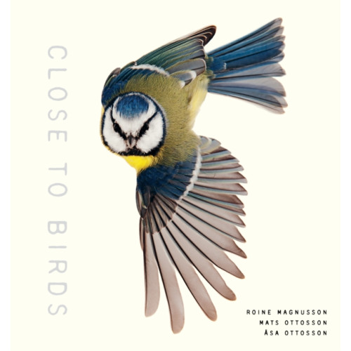 Shambhala Publications Inc Close to Birds (inbunden, eng)