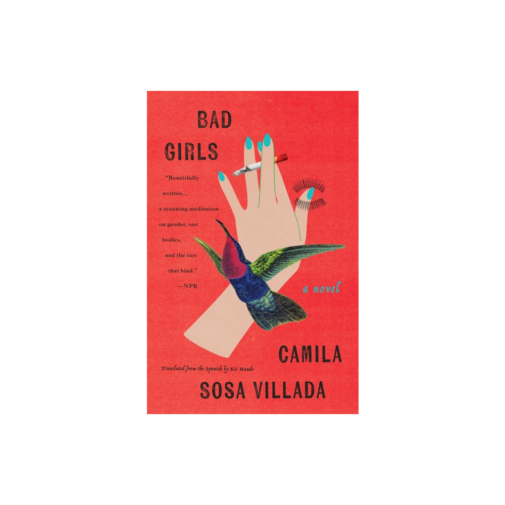 Produktbild för Bad Girls (häftad, eng)