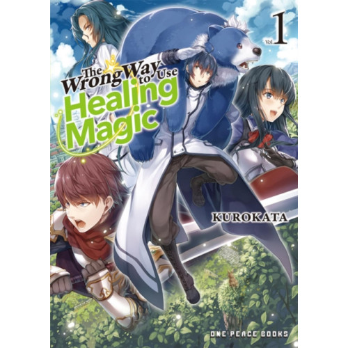 Social Club Books The Wrong Way to Use Healing Magic Volume 1 (häftad, eng)