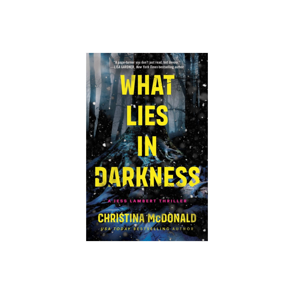 Produktbild för What Lies in Darkness (häftad, eng)