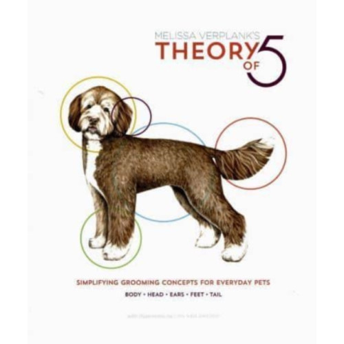 First Stone Publishing Theory Of 5 (häftad, eng)