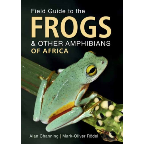 Penguin Random House South Africa Field Guide to Frogs and Other Amphibians of Africa (häftad, eng)