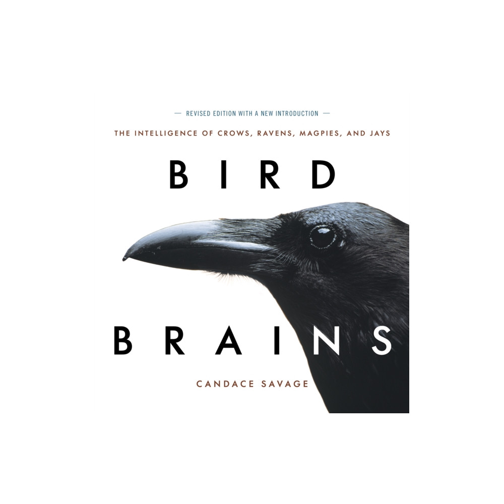 Produktbild för Bird Brains (häftad, eng)