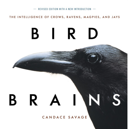 Greystone Books,Canada Bird Brains (häftad, eng)