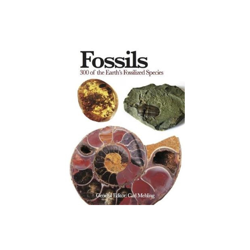 Produktbild för Fossils (häftad, eng)