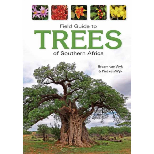 Penguin Random House South Africa Field Guide to Trees of Southern Africa (häftad, eng)