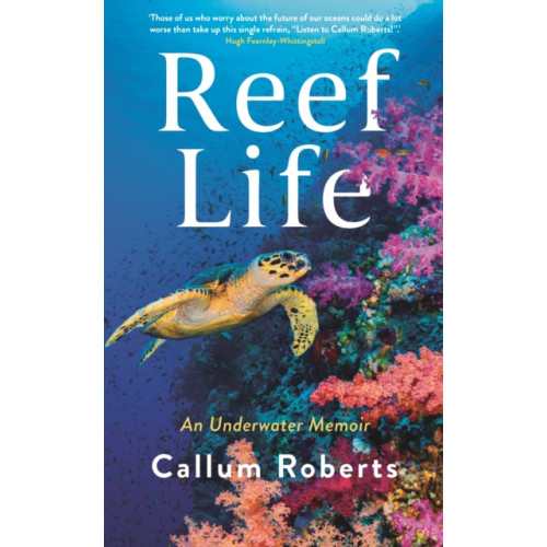 Profile Books Ltd Reef Life (häftad, eng)