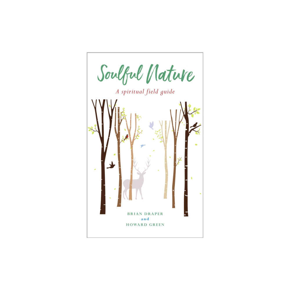 Produktbild för Soulful Nature (häftad, eng)