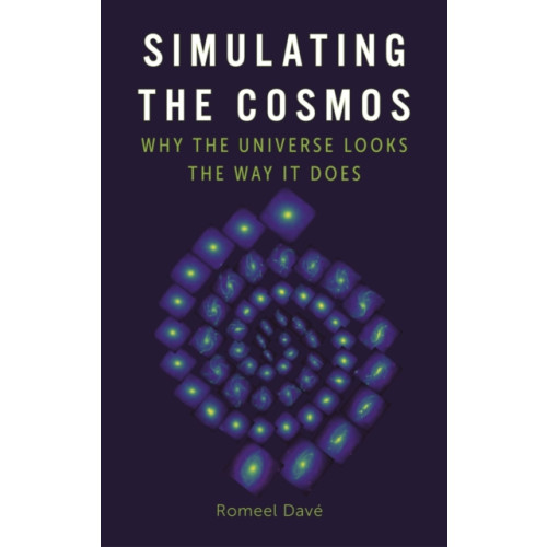 Reaktion Books Simulating the Cosmos (inbunden, eng)