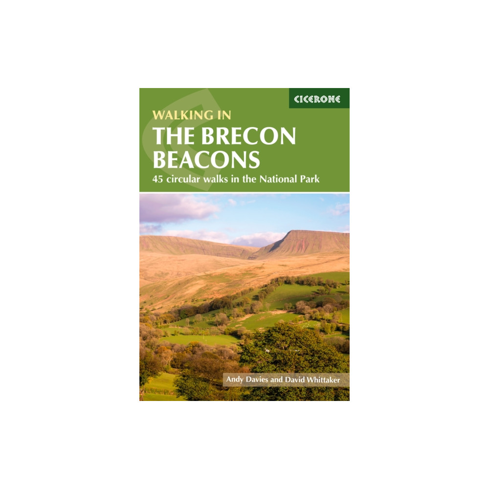 Produktbild för Walking in the Brecon Beacons (häftad, eng)