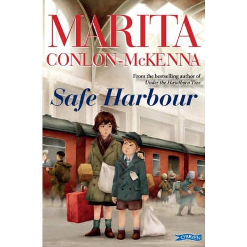 O'Brien Press Ltd Safe Harbour (häftad, eng)