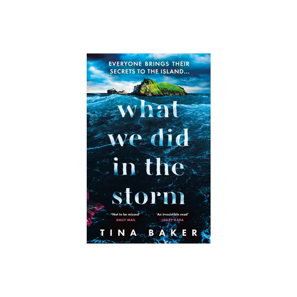 Produktbild för What We Did In The Storm (häftad, eng)