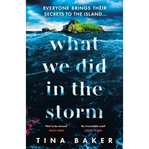 Profile Books Ltd What We Did In The Storm (häftad, eng)