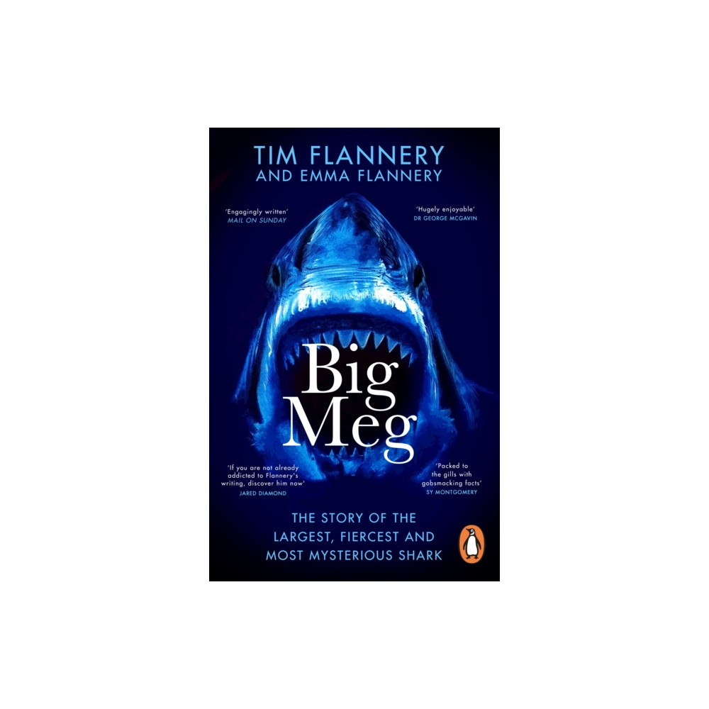 Produktbild för Big Meg (häftad, eng)