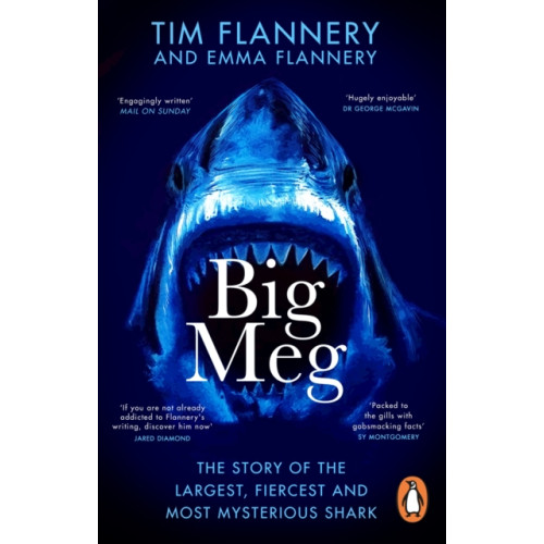 Transworld publishers ltd Big Meg (häftad, eng)