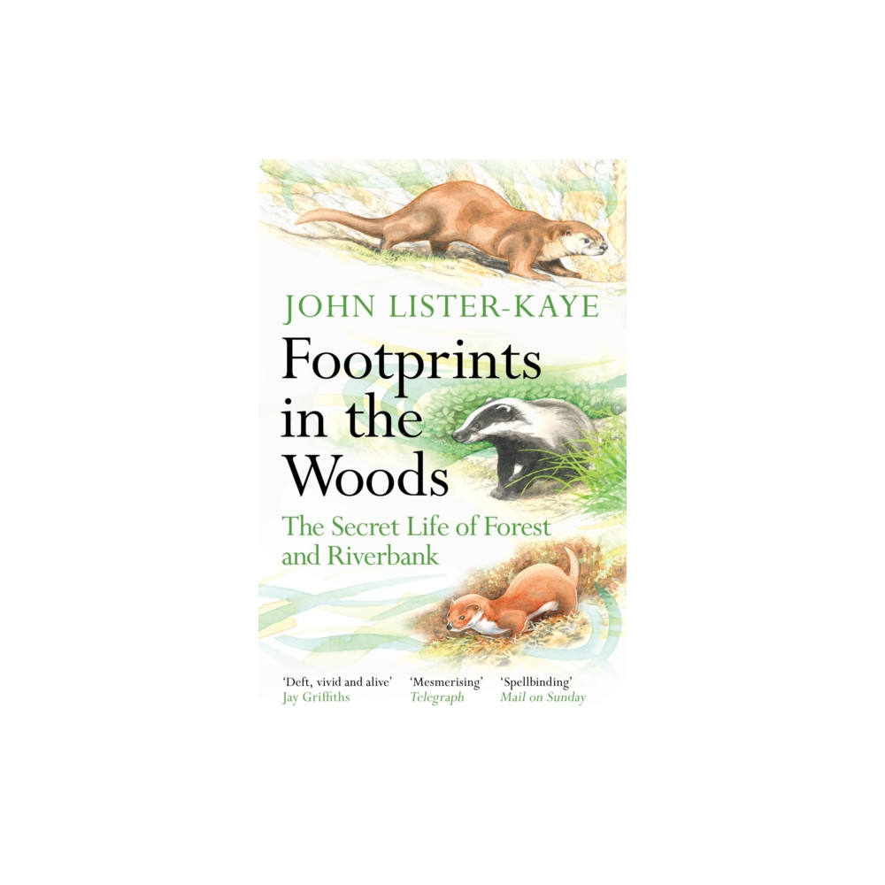 Produktbild för Footprints in the Woods (häftad, eng)