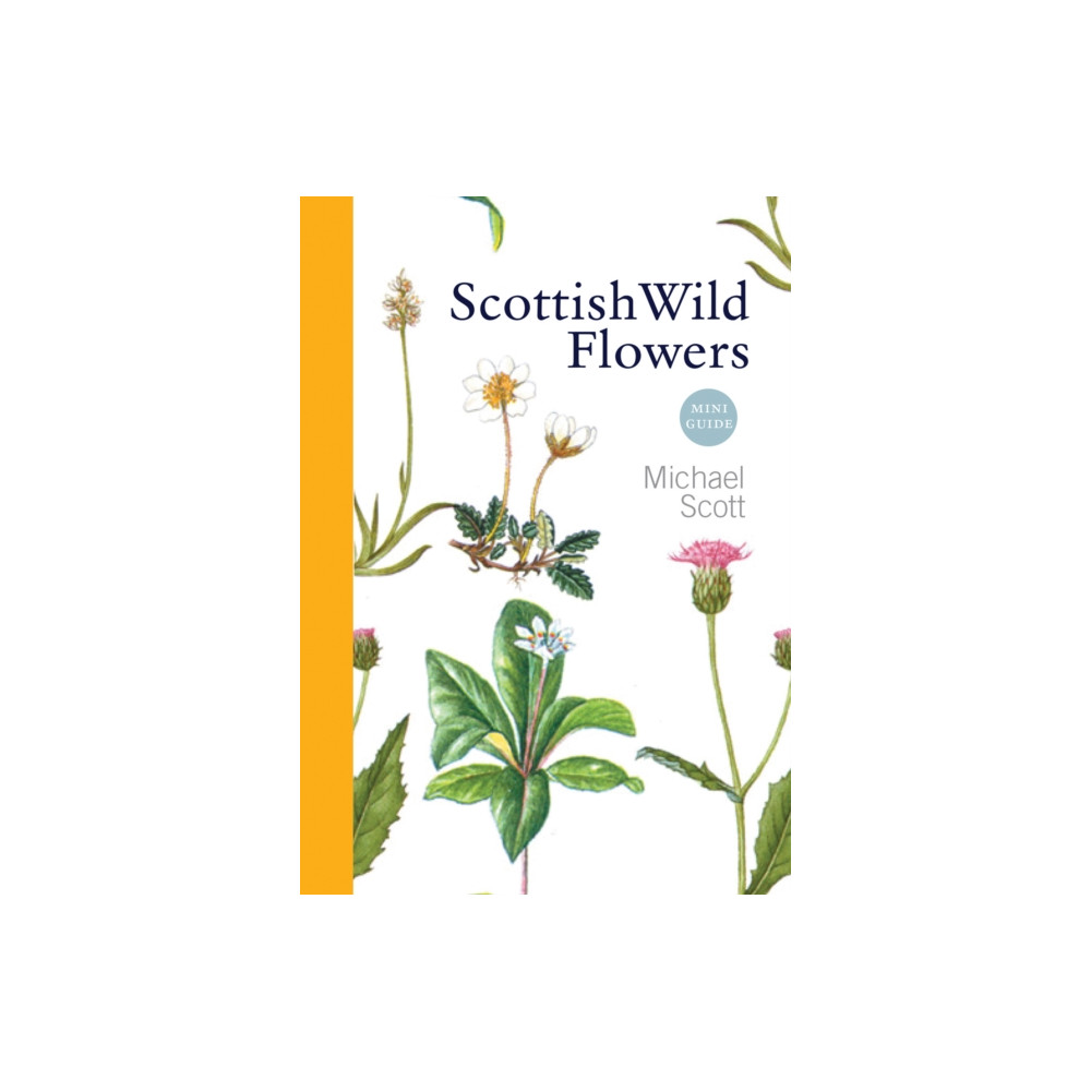 Produktbild för Scottish Wild Flowers (häftad, eng)