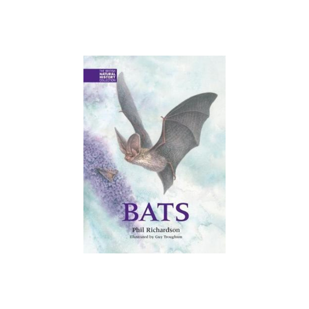 Produktbild för Bats (inbunden, eng)