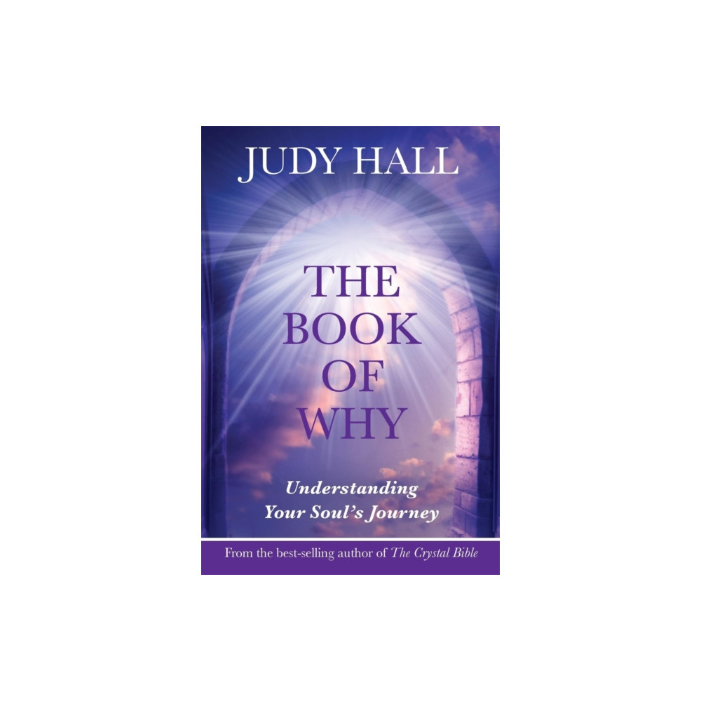 Produktbild för The Book of Why (häftad, eng)