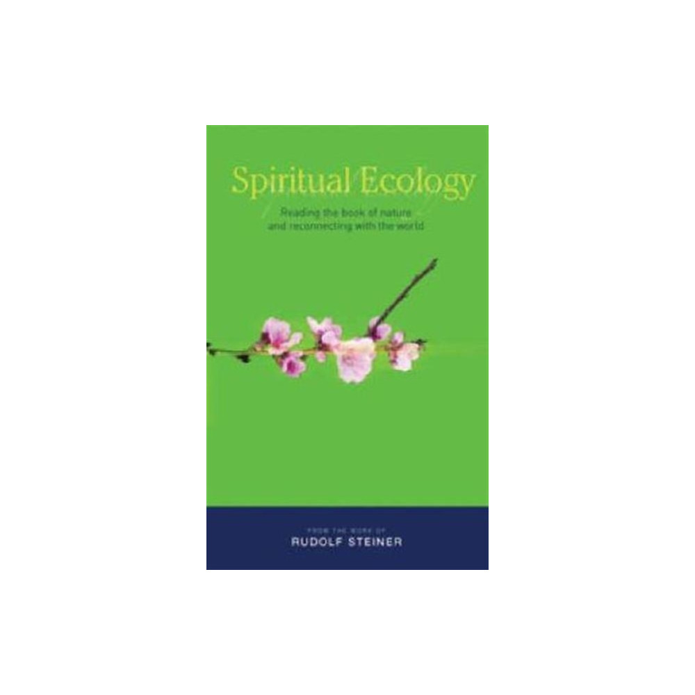 Produktbild för Spiritual Ecology (häftad, eng)