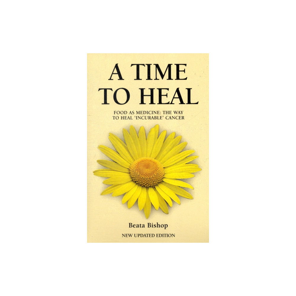 Produktbild för A Time to Heal (häftad, eng)