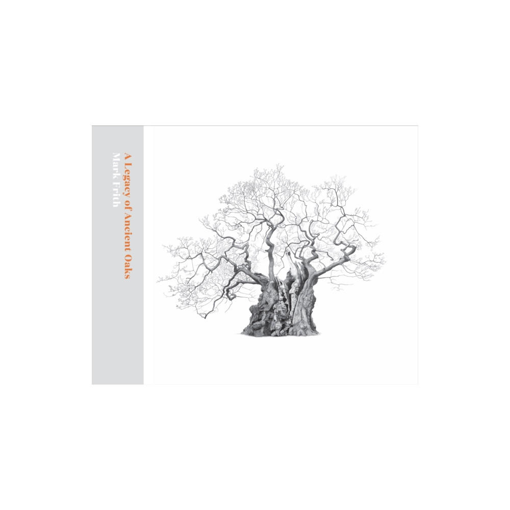 Produktbild för A Legacy of Ancient Oaks (inbunden, eng)