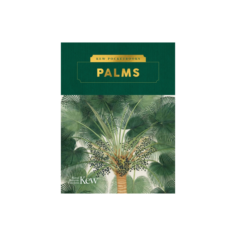 Produktbild för Kew Pocketbooks: Palms (inbunden, eng)