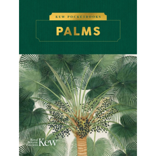 Royal Botanic Gardens Kew Pocketbooks: Palms (inbunden, eng)