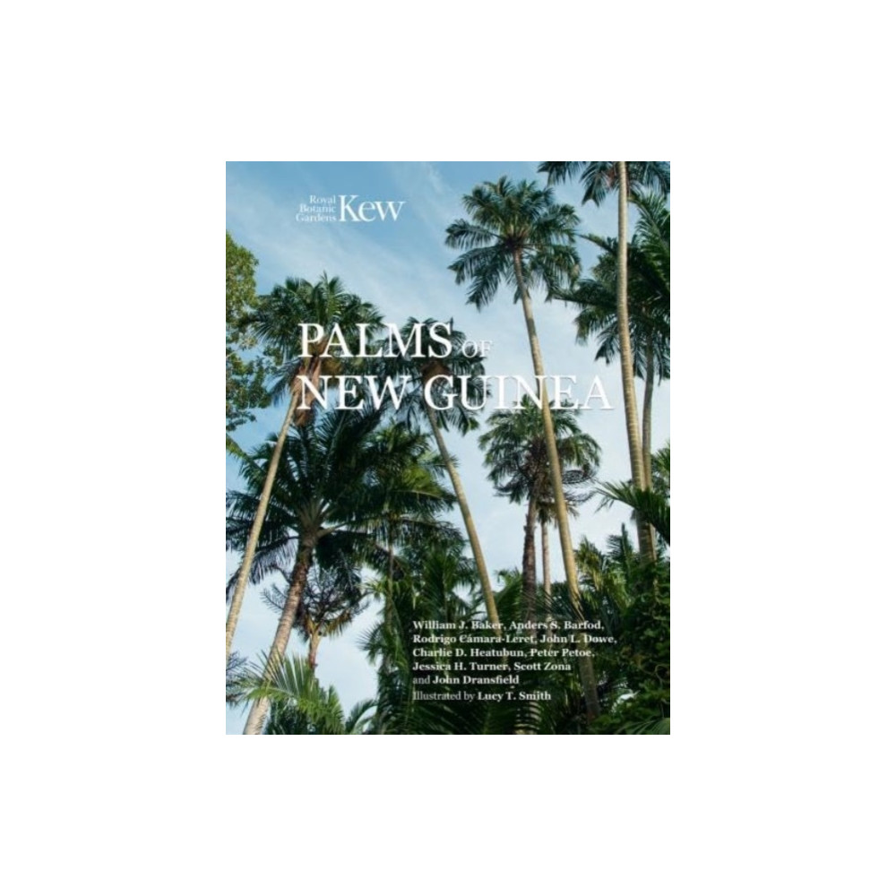 Produktbild för Palms of New Guinea (inbunden, eng)