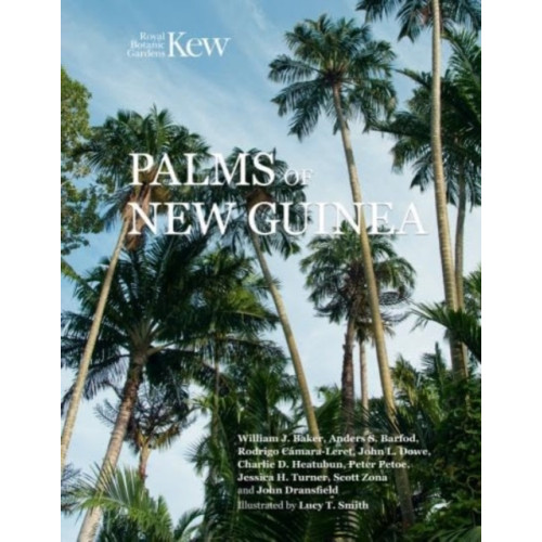 Royal Botanic Gardens Palms of New Guinea (inbunden, eng)