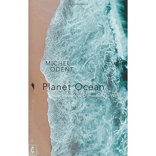 Clairview Books Planet Ocean (häftad, eng)