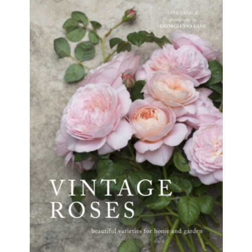 HarperCollins Publishers Vintage Roses (inbunden, eng)