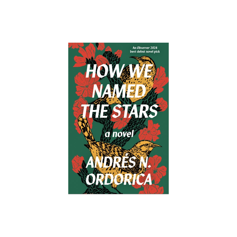 Produktbild för How We Named the Stars (häftad, eng)