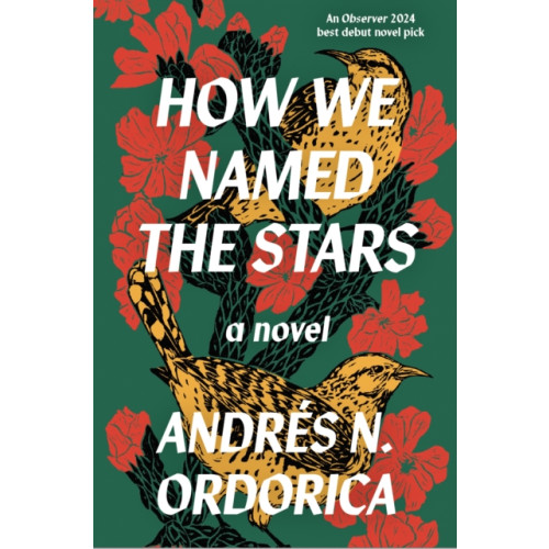 Saraband / Contraband How We Named the Stars (häftad, eng)