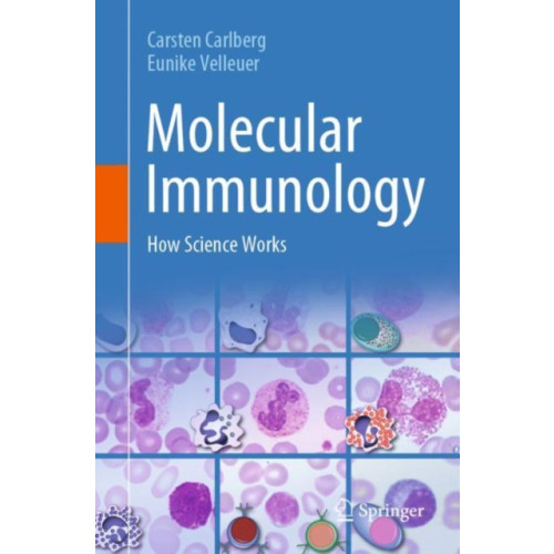 Springer International Publishing AG Molecular Immunology (häftad, eng)